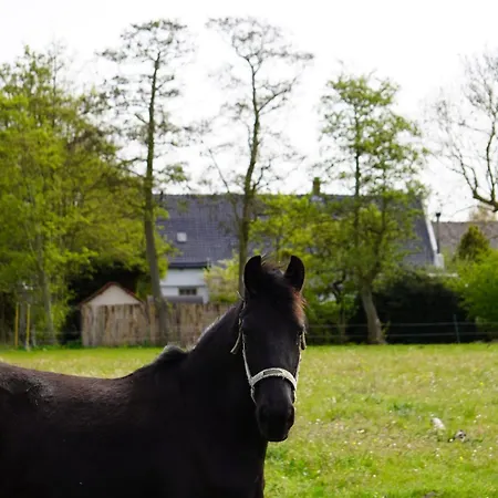 Catharinenburg Golf & Wellness Melissant