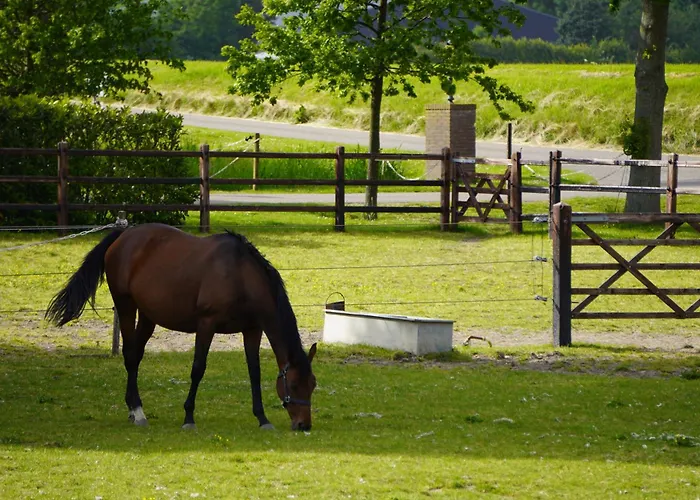 Catharinenburg Golf & Wellness Bed and breakfast