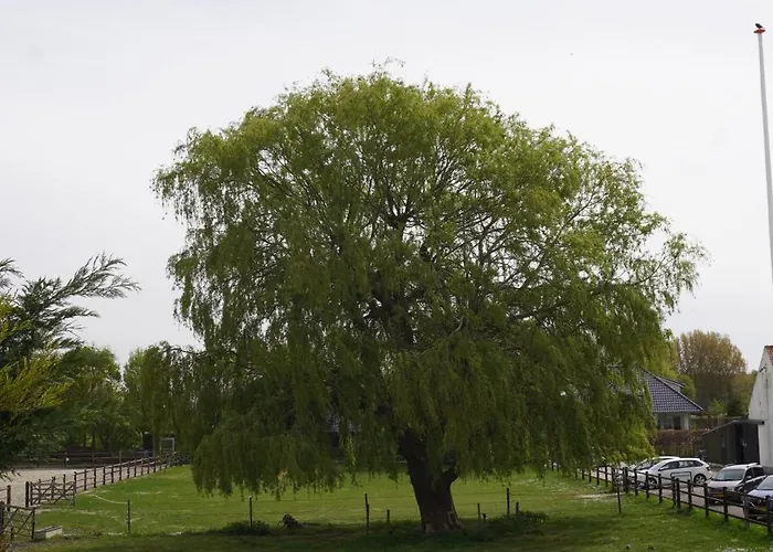 Catharinenburg Golf & Wellness *