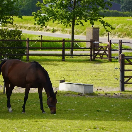 Catharinenburg Golf & Wellness Bed & Breakfast